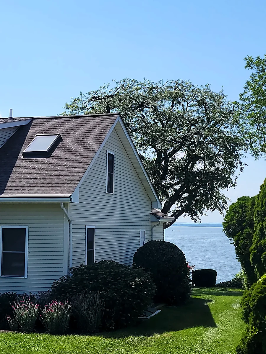 Before: a heavy tree canopy hanging over the roof